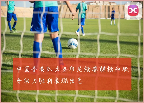 中国香港队力克印尼杨睿骐杨和联手助力胜利表现出色